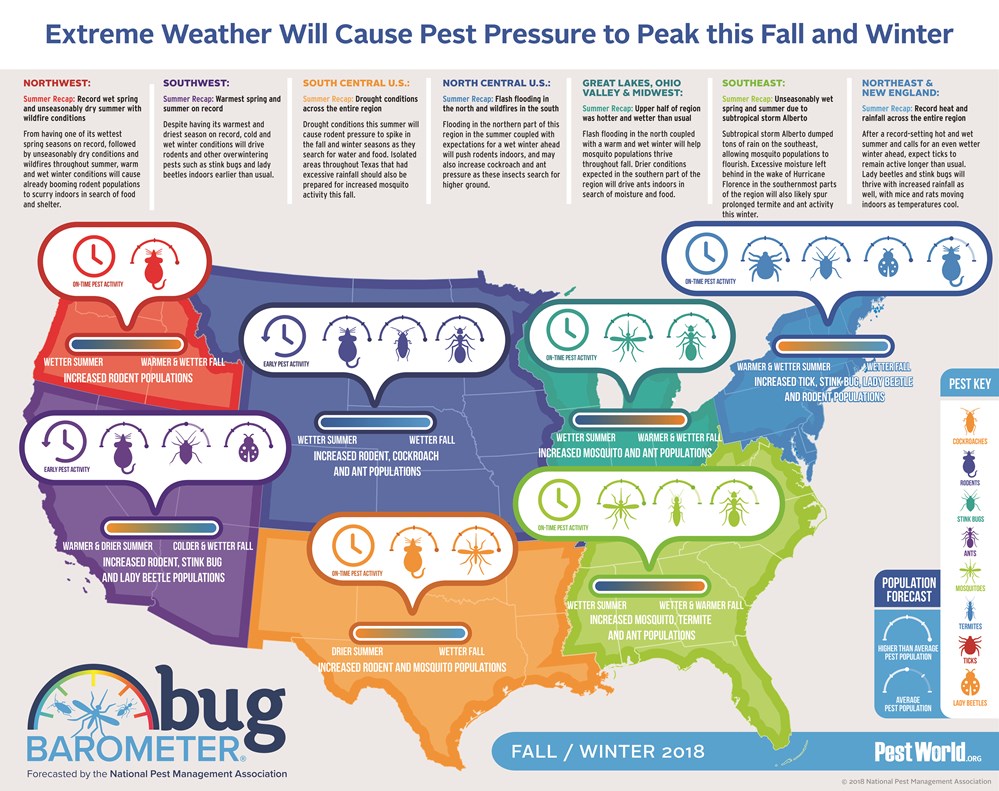 bug-barometer-fall2018